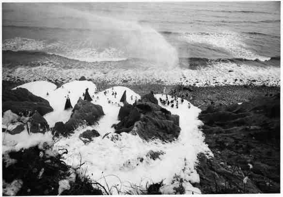 Foam at Montauk Point, Sunday, August 7, 1966
